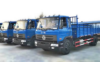 大車駕校
